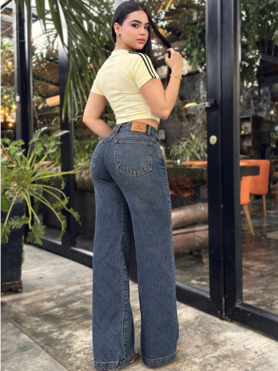 Jean Palazzo  13898-47